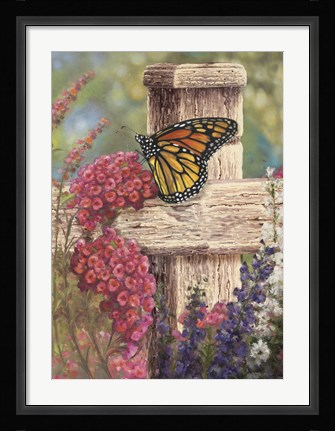Framed Butterfly and Fence Cross Print