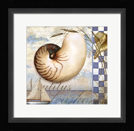 Framed Shell Dreams 2 Print