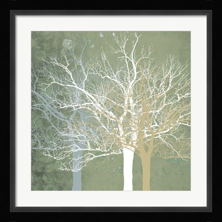 Framed Quiet Forest Print