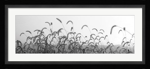 Framed Autumn Light Print