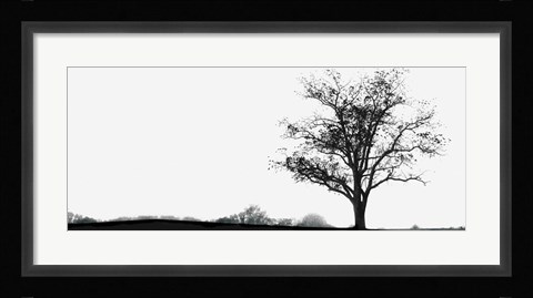 Framed Almost Winter Print