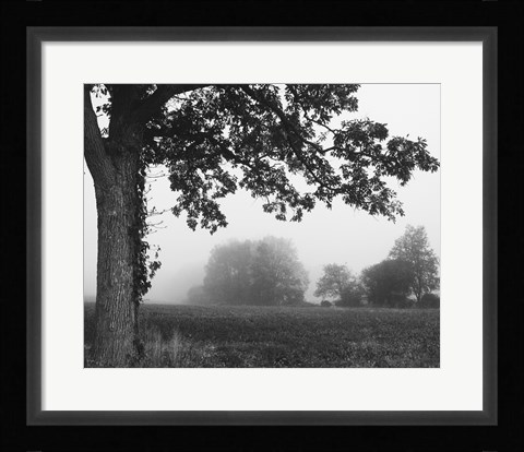 Framed Over the Meadow Print