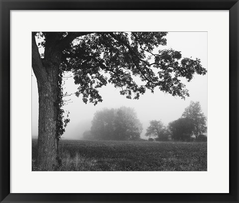 Framed Over the Meadow Print