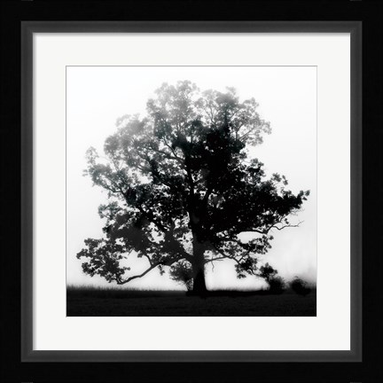 Framed Autumn Glory Print