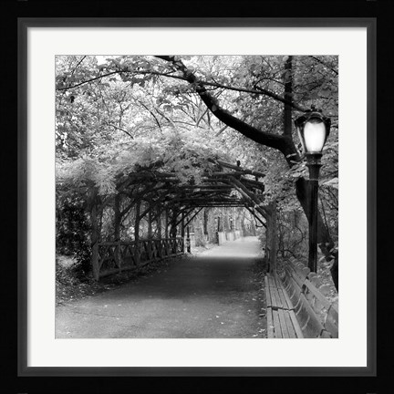 Framed Central Park Pergola Print