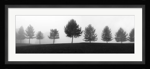 Framed Tree Line Print