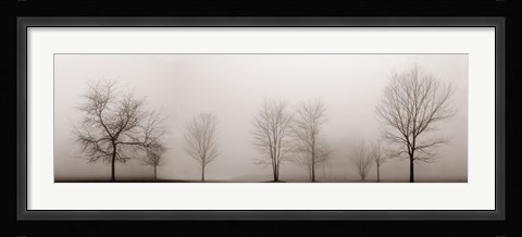 Framed Misty Meadow Print