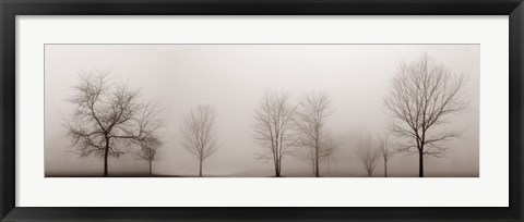 Framed Misty Meadow Print