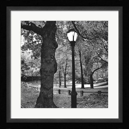 Framed Light in Central Park Print