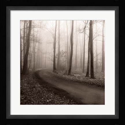 Framed Misty Lane Print