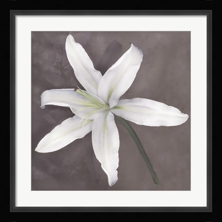 Framed White Lily Print