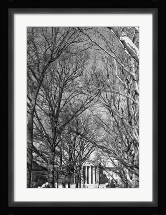 Framed Philadelphia Museum (Trees) Print