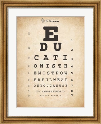 Framed Nelson Mandela Eye Chart I Print