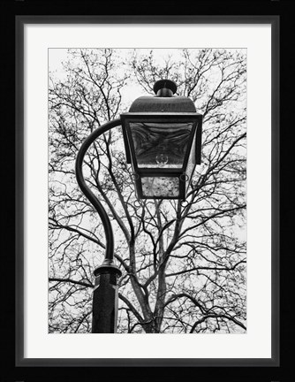 Framed Lamp and branches Print