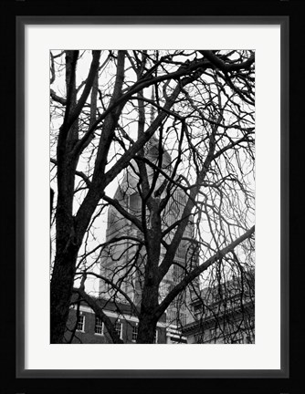 Framed Branch Curtain Print