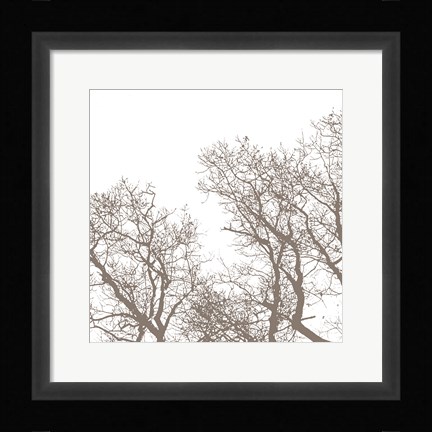 Framed Majesty I Print