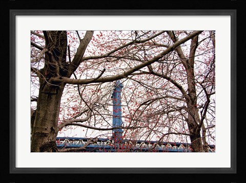Framed Red Blooms in Brooklyn Print