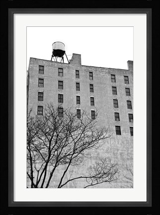 Framed Twenty-six Windows (b/w) Print