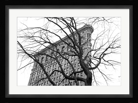 Framed Flatiron with Tree (b/w) Print