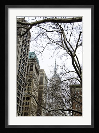Framed Looking up 5th Print