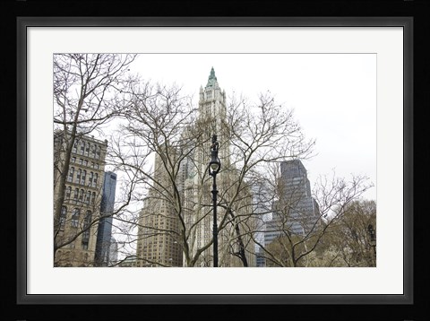 Framed Woolworth Building from City Hall Park Print