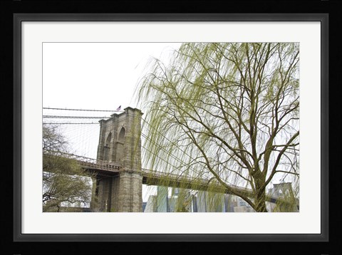 Framed Brooklyn Bridge and Willow Print