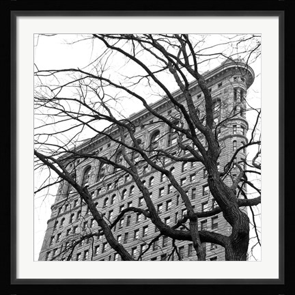 Framed Flatiron with Tree (b/w) (detail) Print
