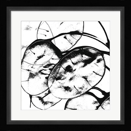 Framed Silver Dollars II Print