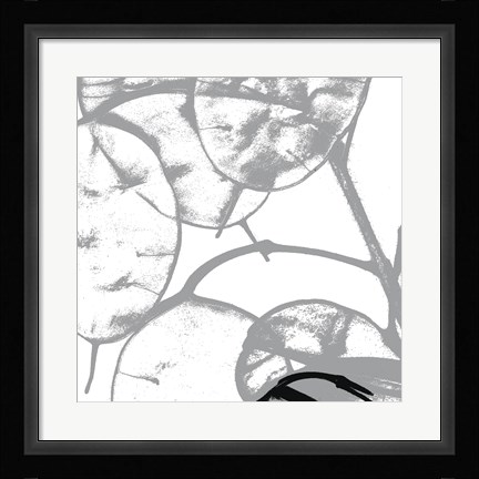 Framed Silver Dollars IV Print