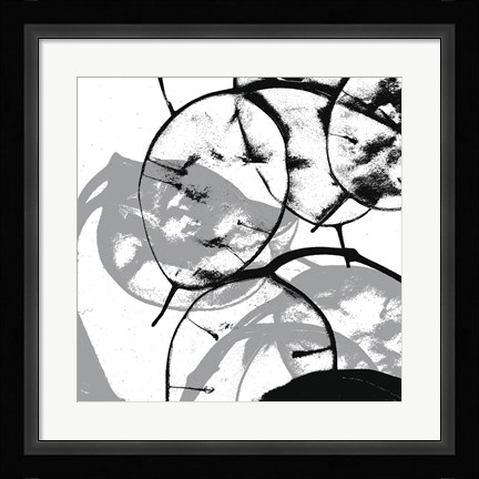 Framed Silver Dollars V Print