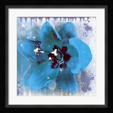 Framed Tulip Fresco (blue) Print