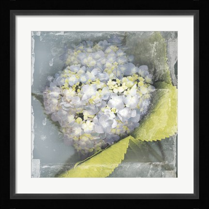 Framed Antique Bloom Print