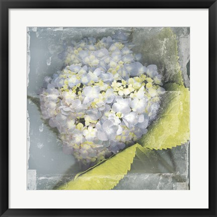 Framed Antique Bloom Print