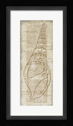 Framed Horn Shell Print