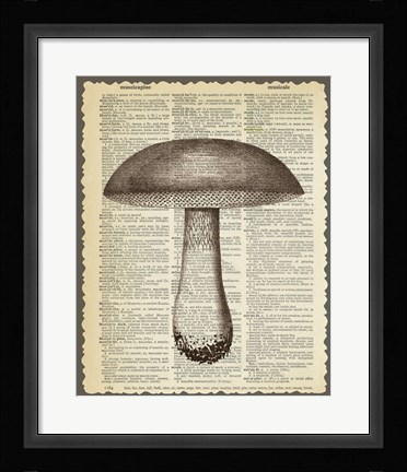 Framed Mushroom Print