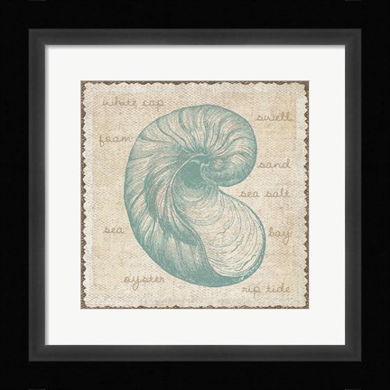 Framed Oyster Print