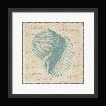 Framed Shell Print