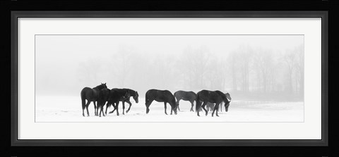 Framed Crossing Print