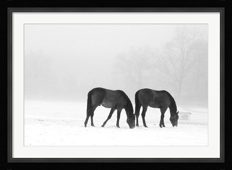 Framed Feeding Pair Print