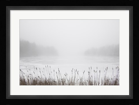 Framed Foggy Reeds Print