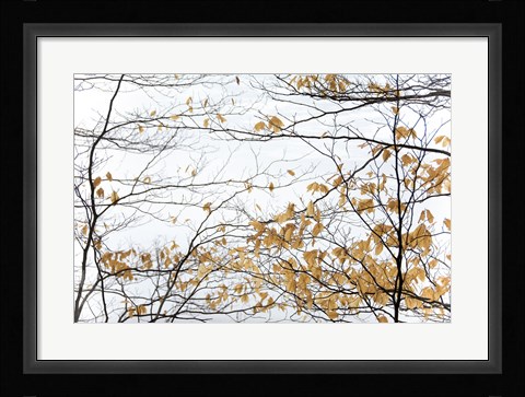 Framed Winter Leaves Print