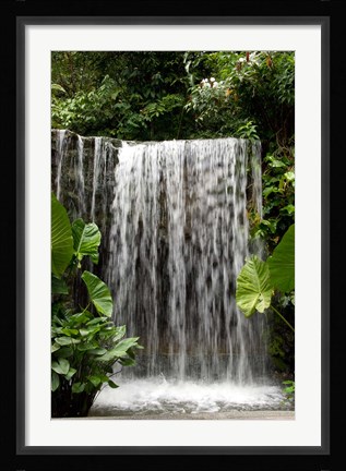 Framed Singapore, National Orchid Garden, Waterfall Print