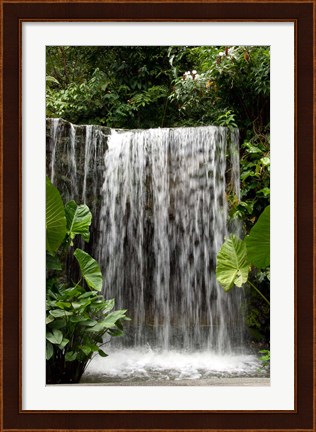 Framed Singapore, National Orchid Garden, Waterfall Print