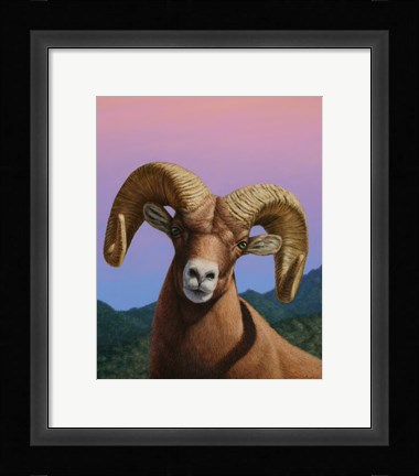 Framed Bighorn Print