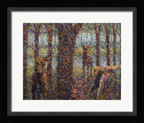 Framed Encounter Print