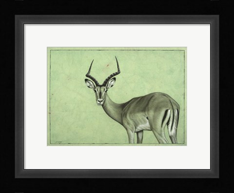 Framed Impala Print