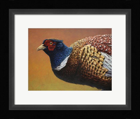 Framed Pheasant Print