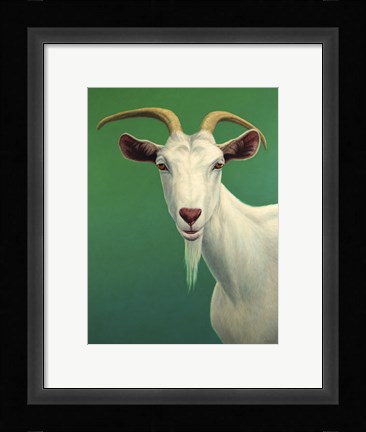 Framed Portrait of A Goat Print