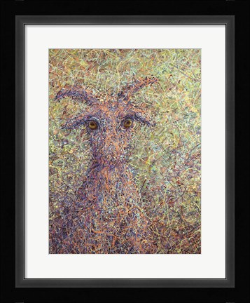 Framed Wildgoat Print