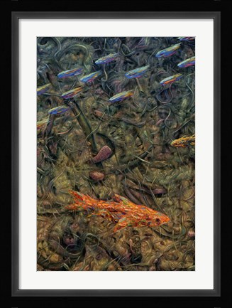Framed Aquarium 2 Print